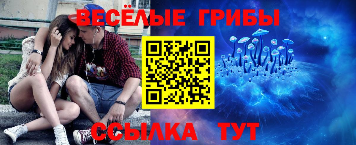 Сорочинск  Галлюциногенные грибы мухоморы  Вход с VPN  Галлюциногенные грибы прущие грибы 