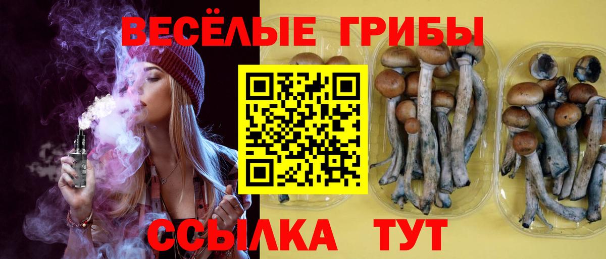 Галлюциногенные грибы Psilocybine cubensis Сорочинск